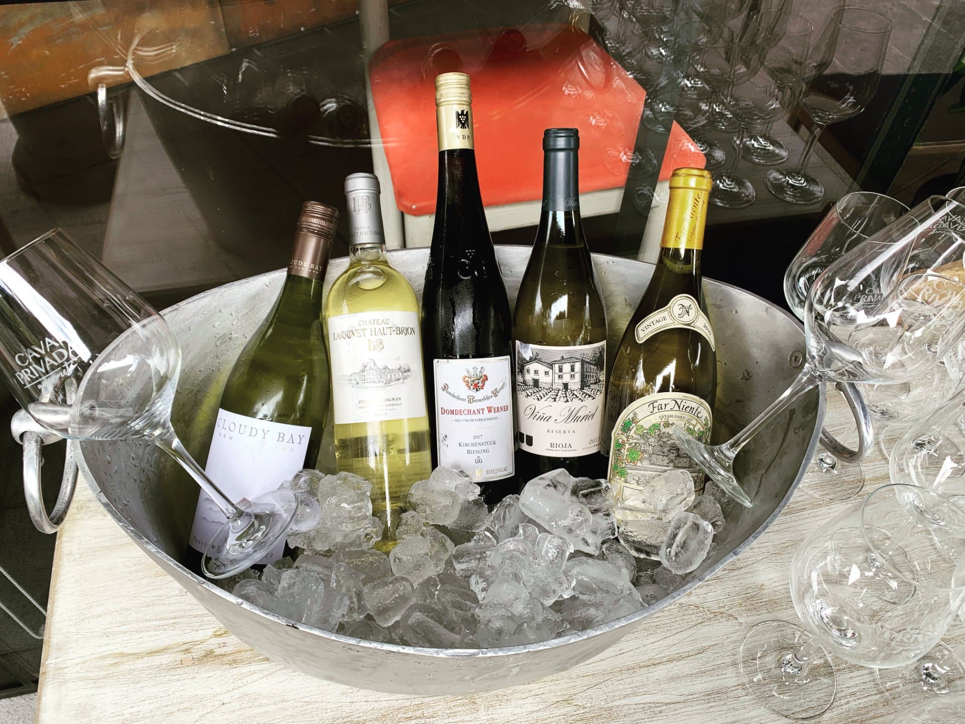 Cata Vinos Blancos — 4