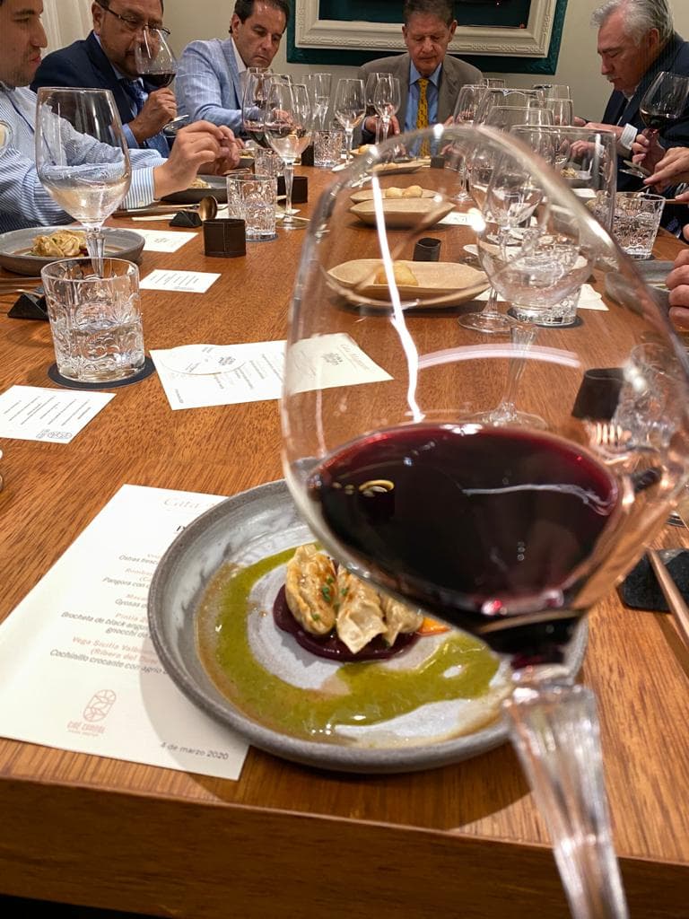 Cata Magnum — 19