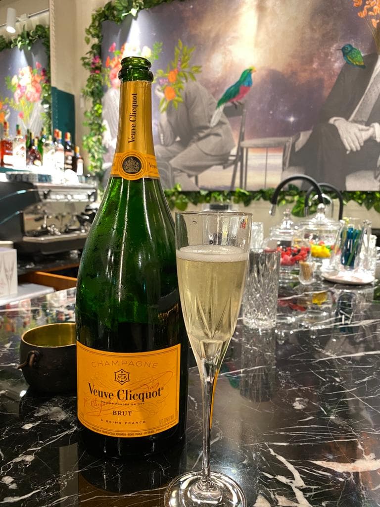 Cata Magnum — 27